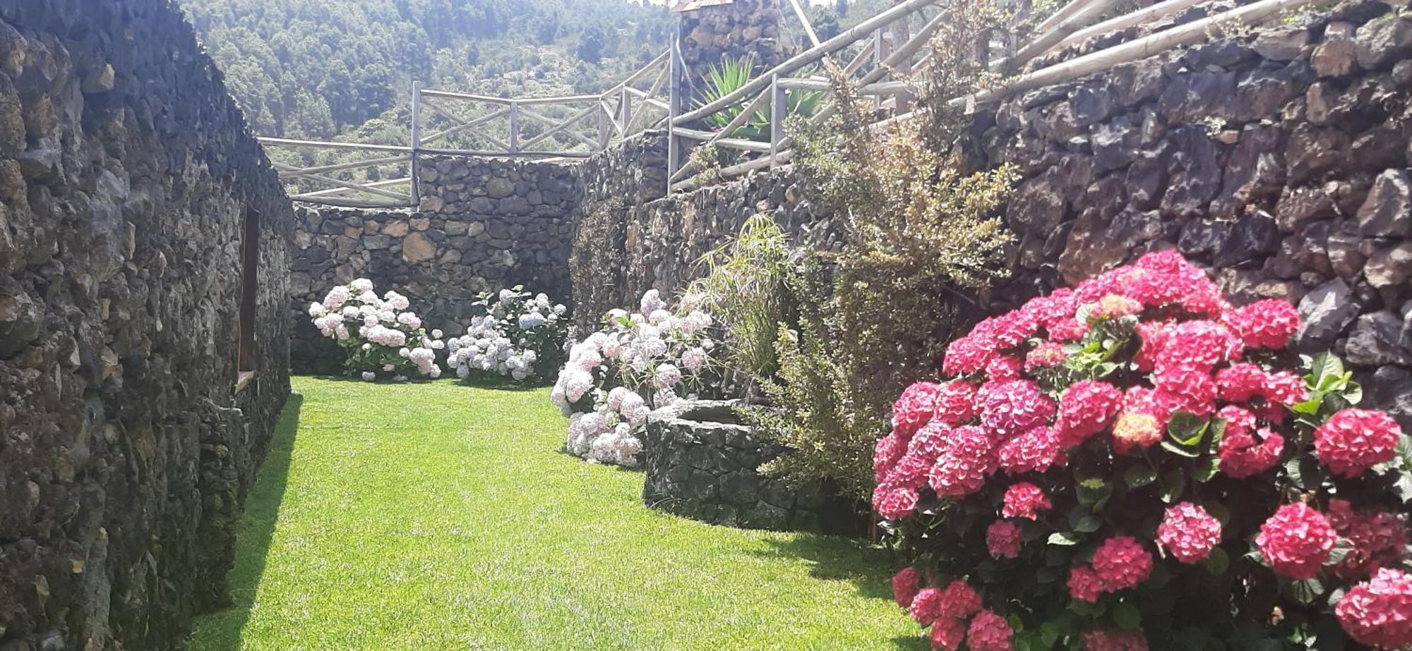 Casas Rurales Los Guinderos Icod De Los Vinos Exteriör bild